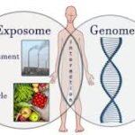 ژنوم یا اکسپوزوم؟